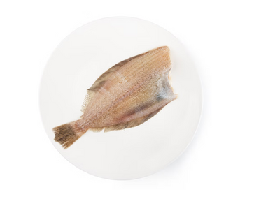 Premium Jeju Seafood – Flounder (Chamkaejami)-300g
