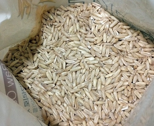 Premium K Whole Oat Grains (800g)