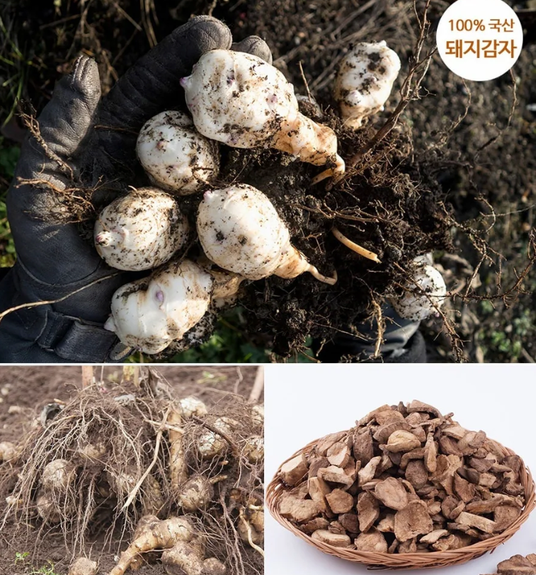 [Cheonggangwon] 韩国干菊芋（300g，10.58 oz）