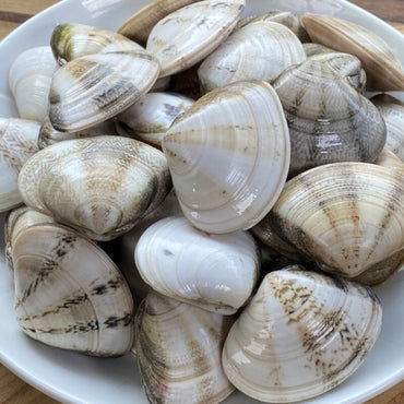 Frozen Bidan Clam (2.2lb, 1kg)