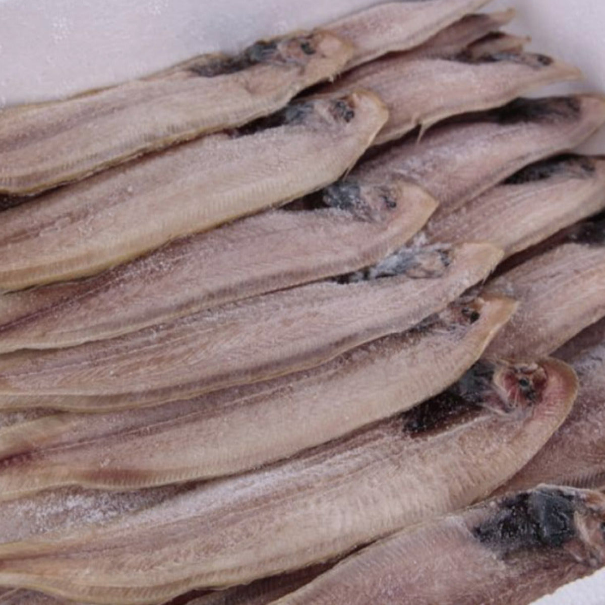 JEJU RED TONGUE SOLE 270g