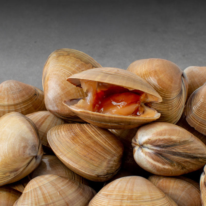 Cooked & Frozen MyungJoo Clam (Mactra Chinensis) (500g)